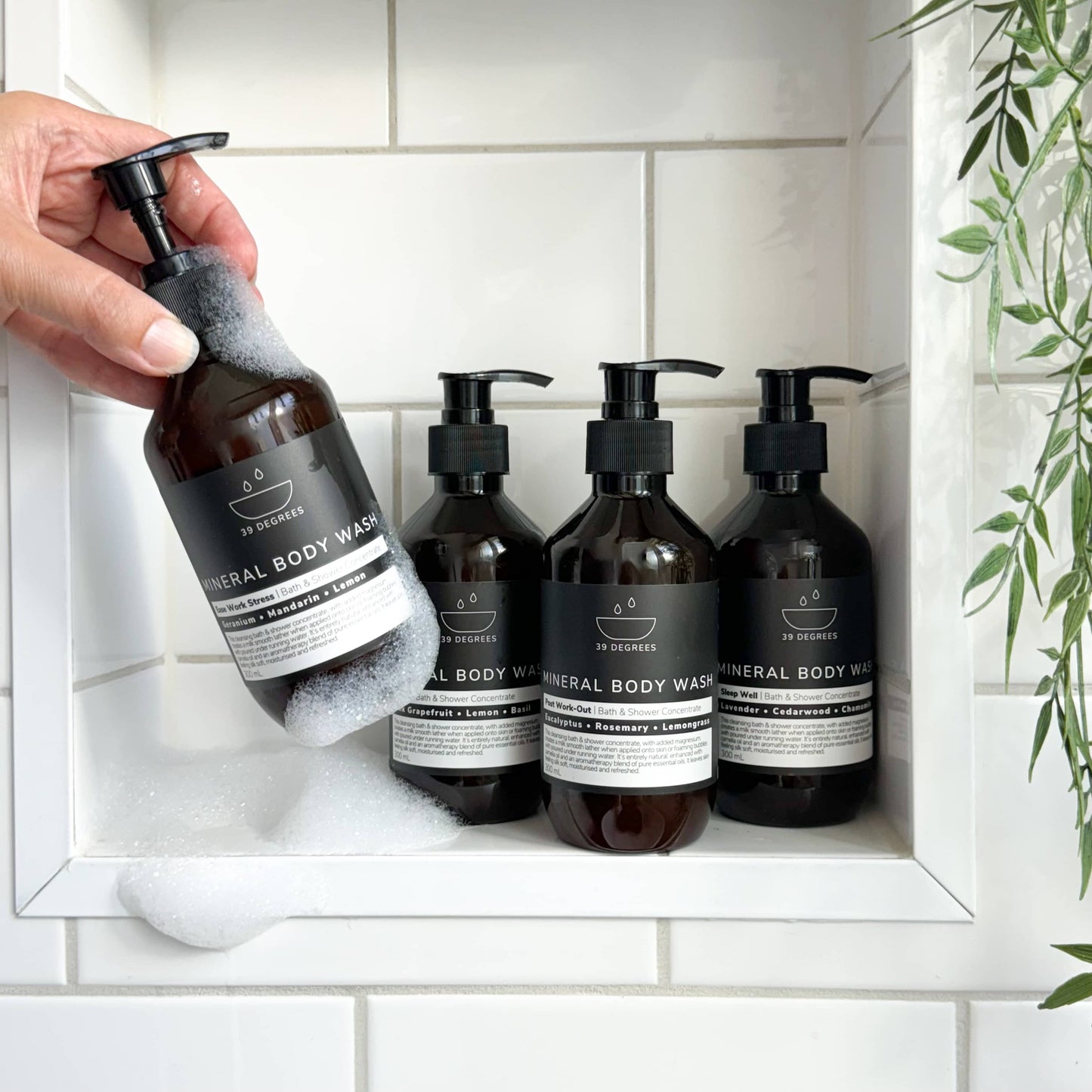 Body Wash Bundle