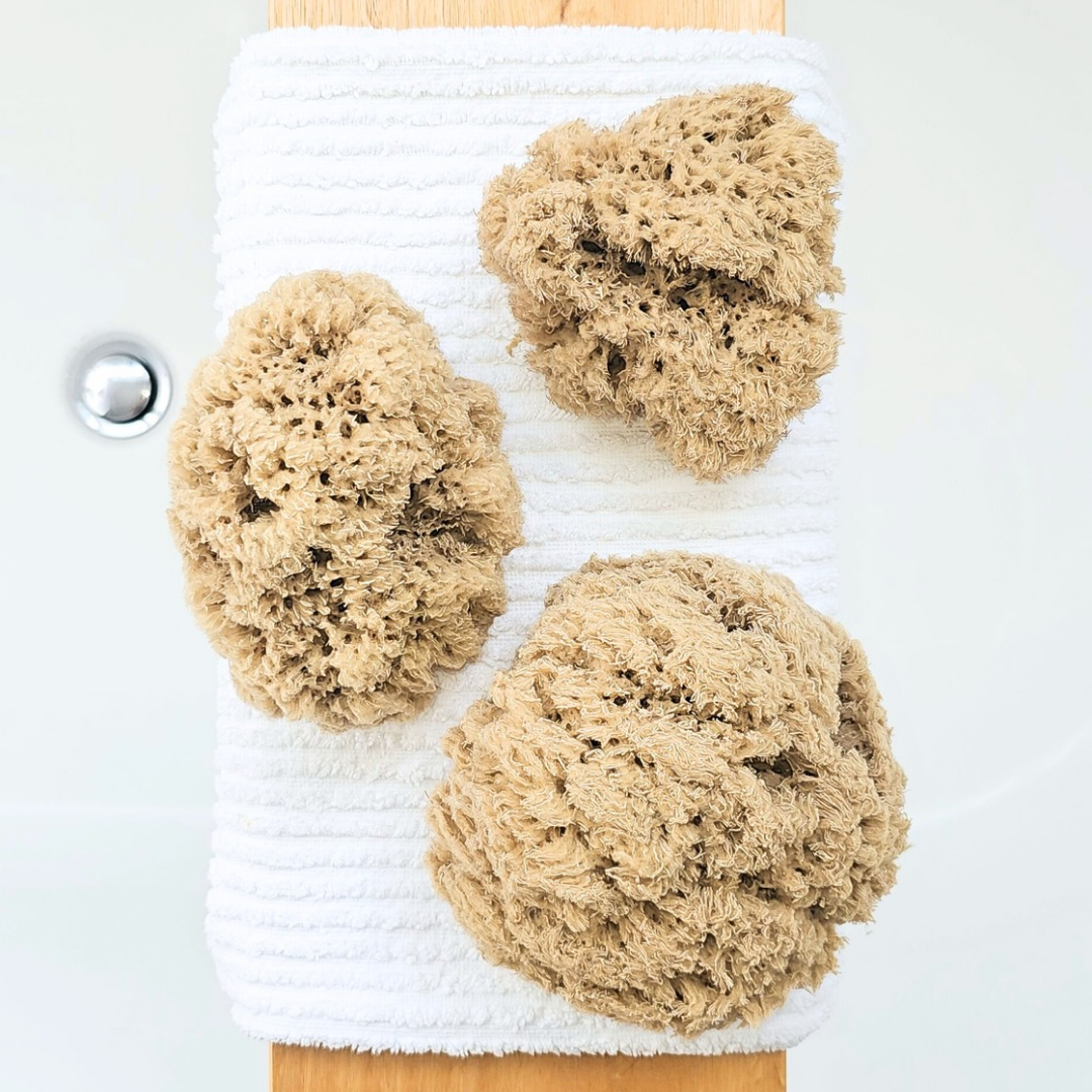 Organic Pohnpei Sea Sponge