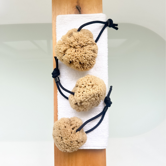 Organic Pohnpei Sea Sponge