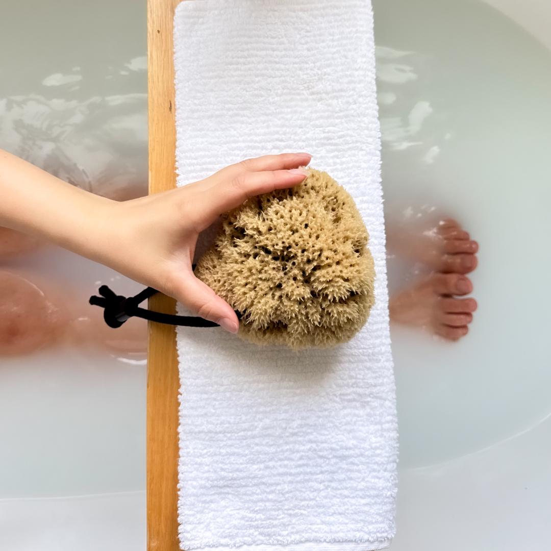 Organic Pohnpei Sea Sponge