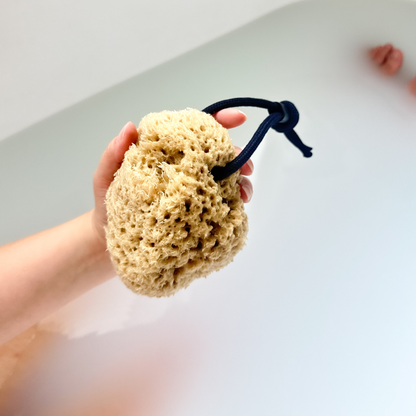 Organic Pohnpei Sea Sponge
