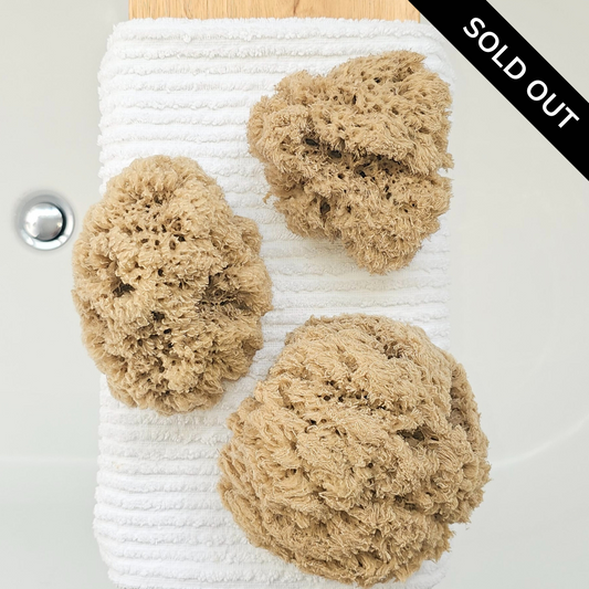 Organic Pohnpei Sea Sponge
