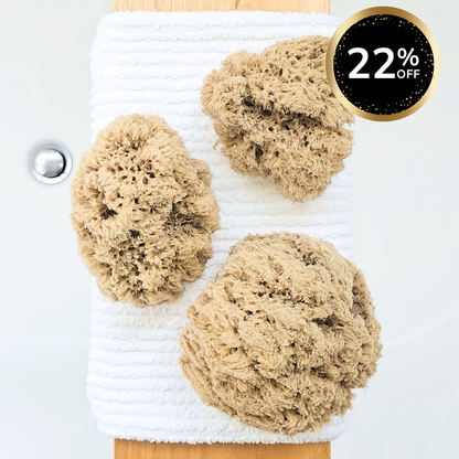 Organic Pohnpei Sea Sponge