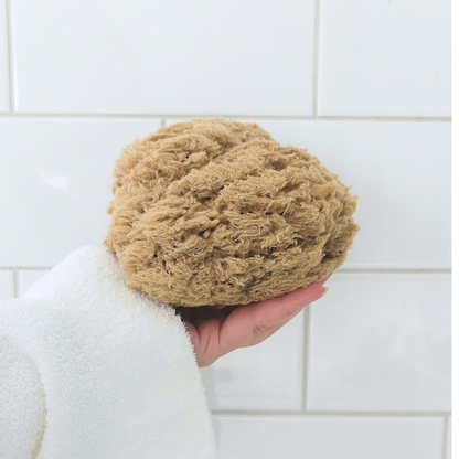Organic Pohnpei Sea Sponge